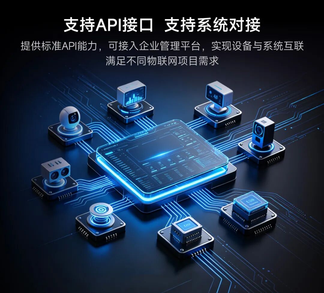图片6